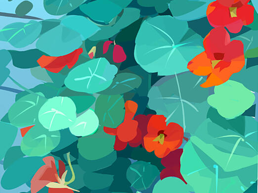 color study
